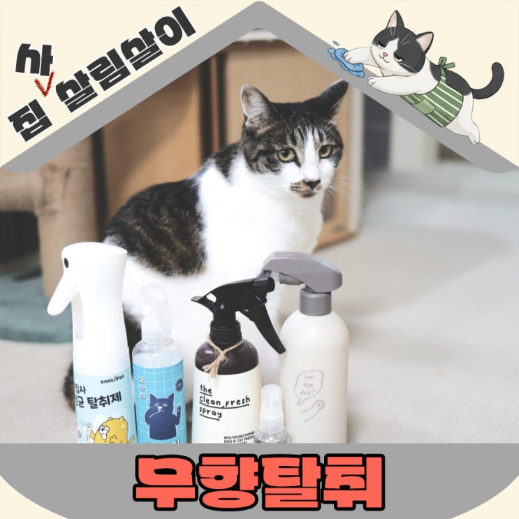  고양이 반려가정 실내공기정화 무향탈취하는 방법
