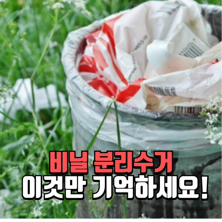 비닐 분리수거 완벽가이드 - 누구나 실수하는 비닐 분리배출 기준 정리