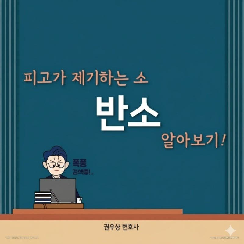 소장을 수령하는 경우(2): 피고의 반소 제기 관련 이미지 1
