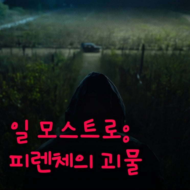 일 모스트로 피렌체의 괴물 실화를 바탕으로 만든 이탈리아 드라마 결말 포함 줄거리