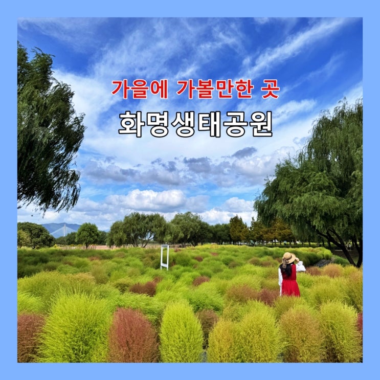  가을에 가볼만한 곳, 부산 화명생태공원