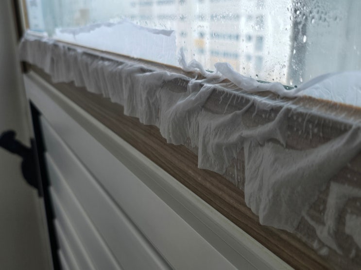  부산곰팡이제거 공사 말고 청소로 해결하세요