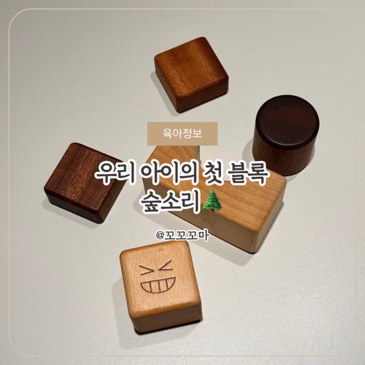  입에 넣어도 안전한 유아블럭 찾는다면? 숲소리 동물블럭 원목블럭 내돈내산 리뷰