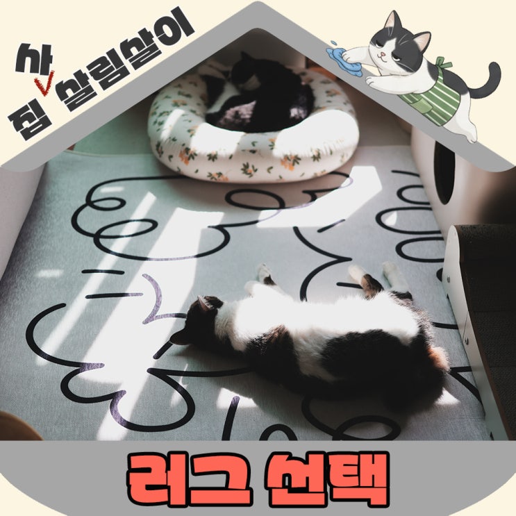  환절기 러그 선택 고양이집에 어울리는 소재는?