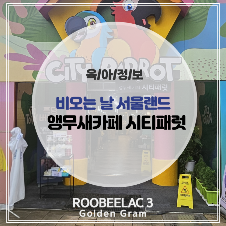  과천 가볼만한곳 비오는 날 서울랜드 앵무새카페 먹이주기 체험 by. 덴마크 슈퍼 프리미엄 분유 루비락 3