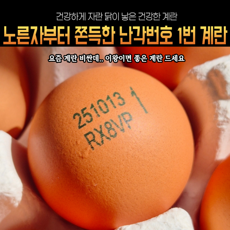  노른자부터 쫀쫀한 자연방목계란 난각번호1번을 먹어봤어요
