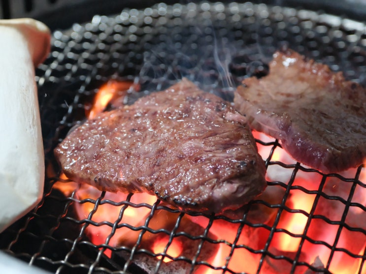  제주 노형동 한우 맛집 탐라우돈정육식당 — 10년 도민이 인정한 진짜 가성비 한우·흑돼지집