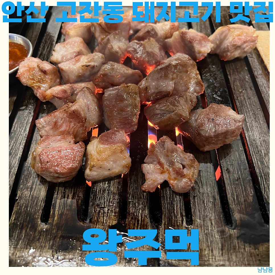 왕주먹 사진 1