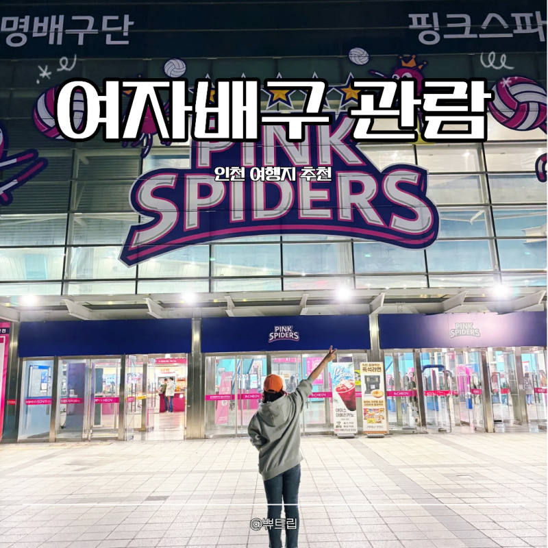 흥국생명 여자배구 시즌 삼산체육관 예매 카페 실내데이트