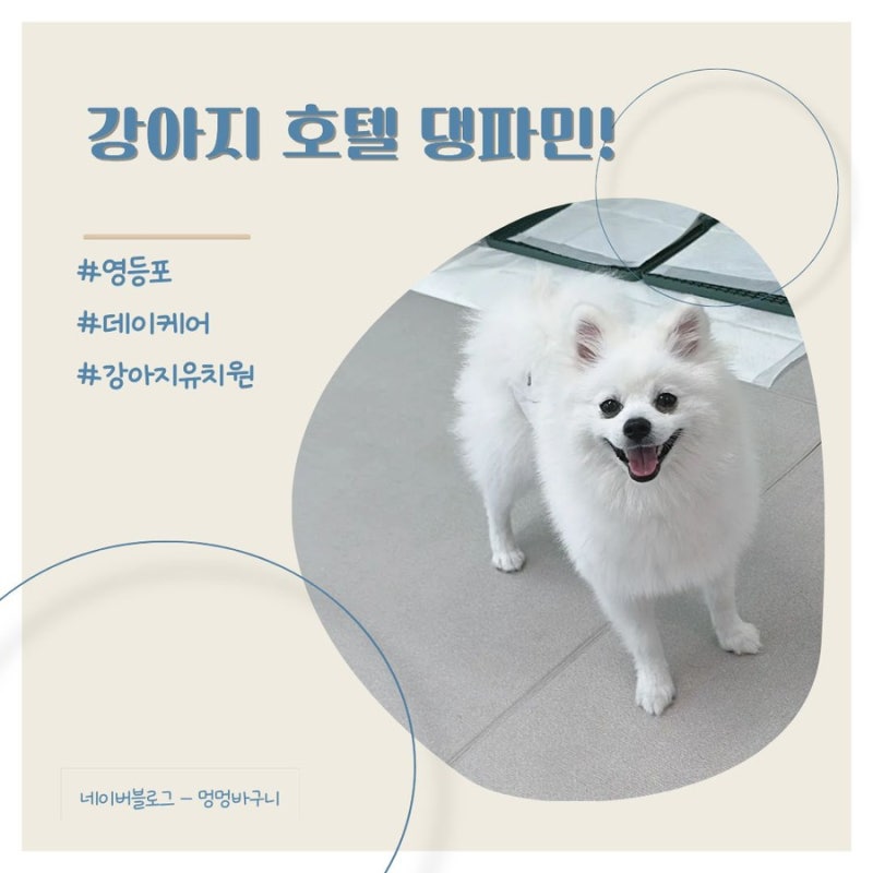 사진 5