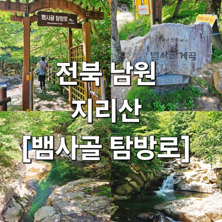  남원 지리산 여름엔 청량 가을엔 단풍 '뱀사골' 데크길 트레킹 리얼후기