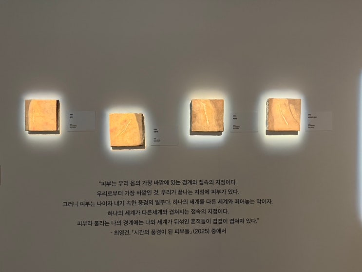  [전시] 장애예술기획전 《The Sensory Tale 감각의 서사》