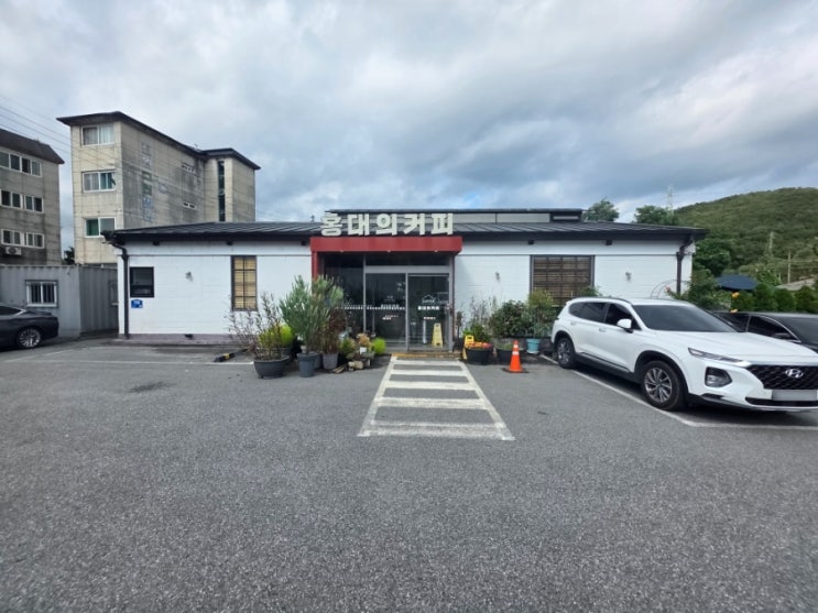  용인 고기리 식사 후 힐링 카페, 홍대의 커피에서 즐기는 베이커리와 커피