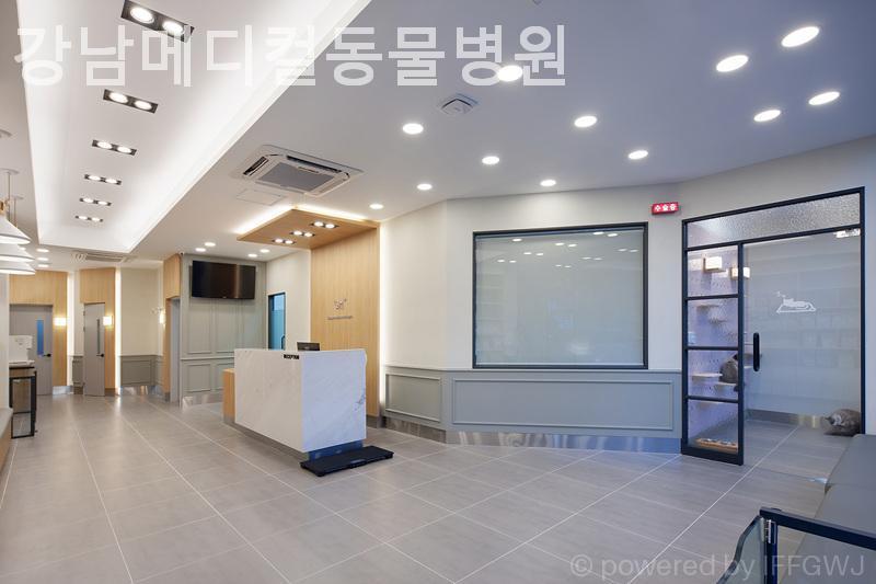 강남메디컬동물병원 사진 2