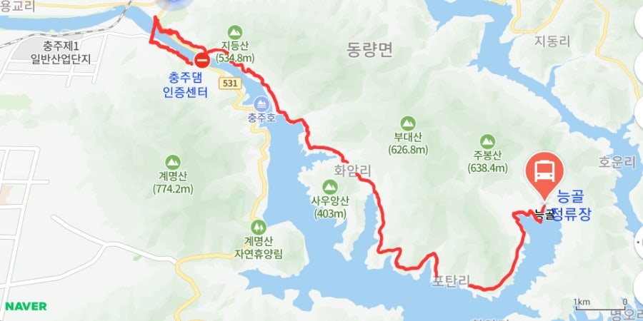 능골 사진 1