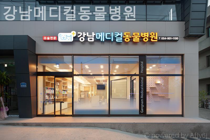 강남메디컬동물병원 사진 1