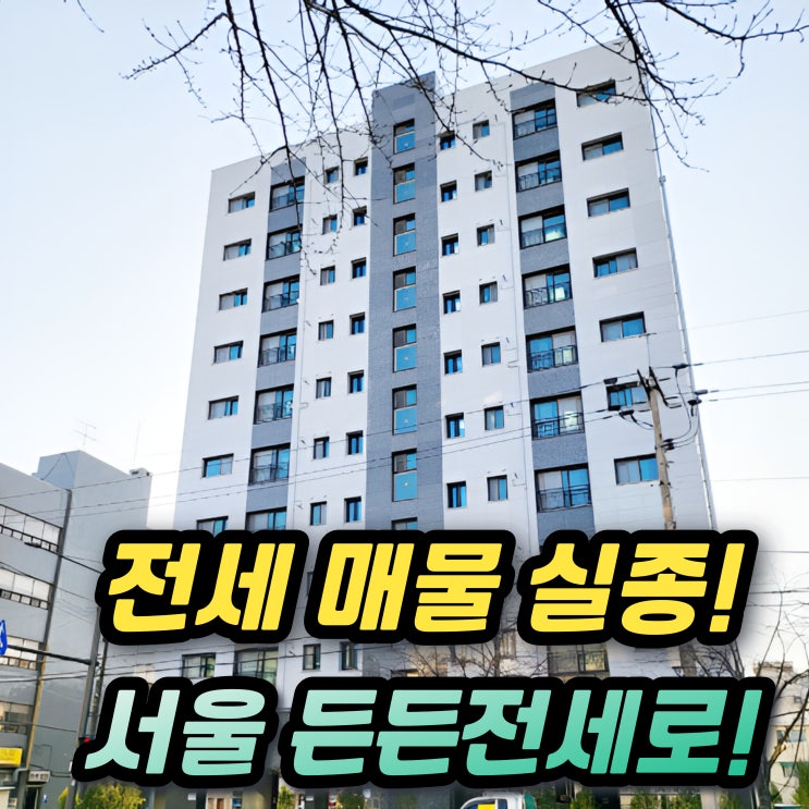  서울 LH 든든전세주택 서초 강동 영등포까지! 소득 자산 X