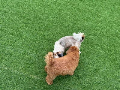 사진 3
