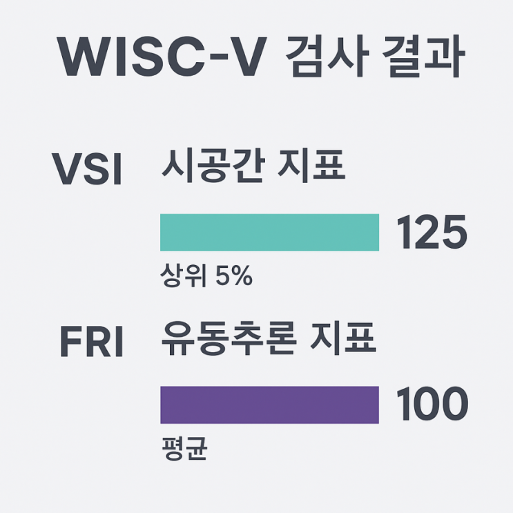   풀배터리검사 종합심리검사 중 웩슬러(WISC-V) 결과로 본 우리 아이의 사고 특징