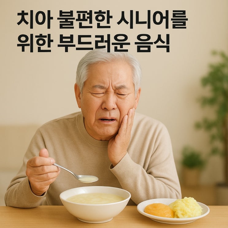  치아 불편한 시니어를 위한 부드러운 음식  씹기 편하고 영양 가득한 식단 가이드