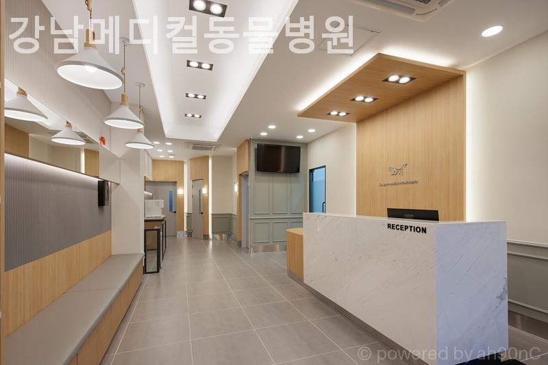 강남메디컬동물병원 사진 3