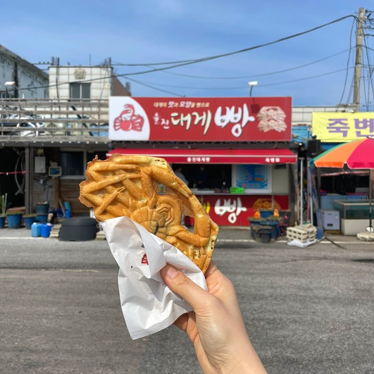  울진대게빵ㅣ울진 죽변스카이레일 간식 추천