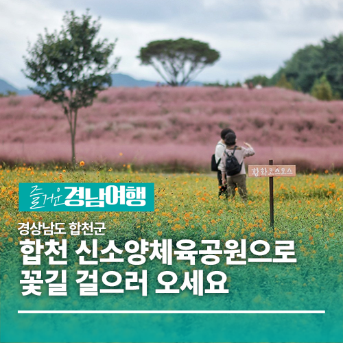 사진 6