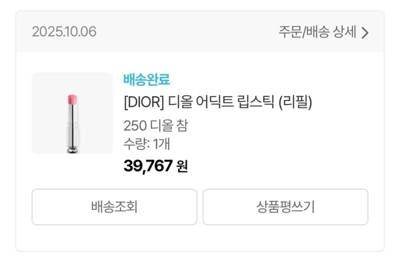 디올 어딕트 립 디올참250 후기