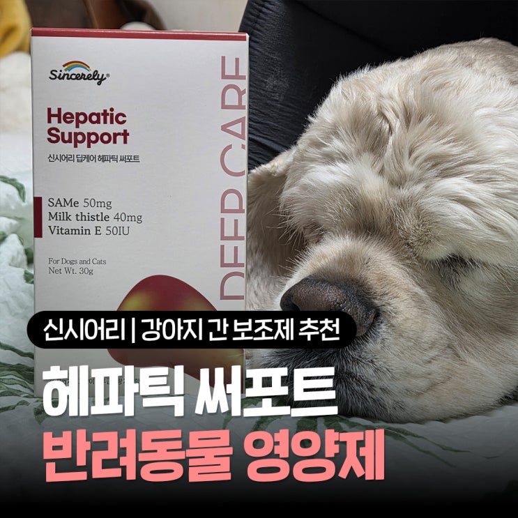  강아지간보조제 추천 기호성 좋은 반려동물영양제 믿고 먹이는 신시어리 딥케어 헤파틱 써포트 급여후기