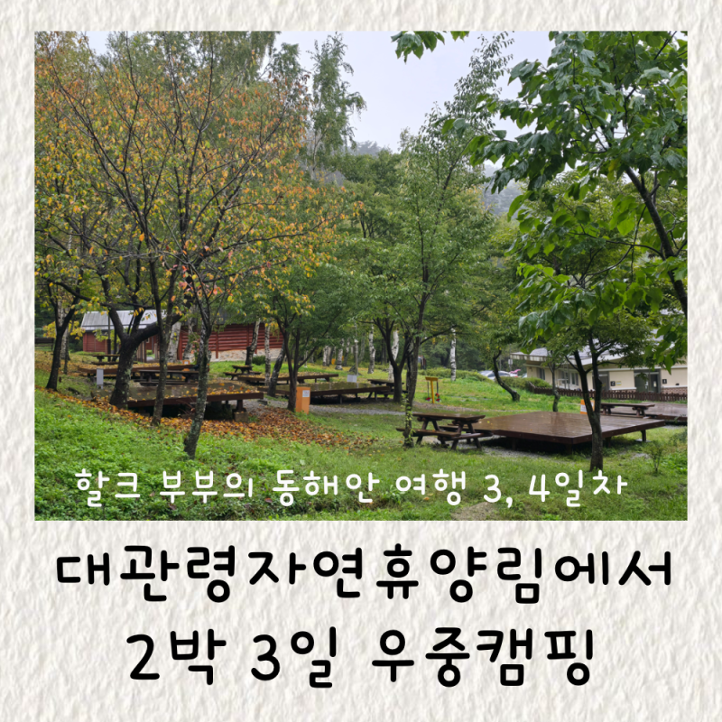 10월 대관령자연휴양림에서 2박 3일 우중 캠핑