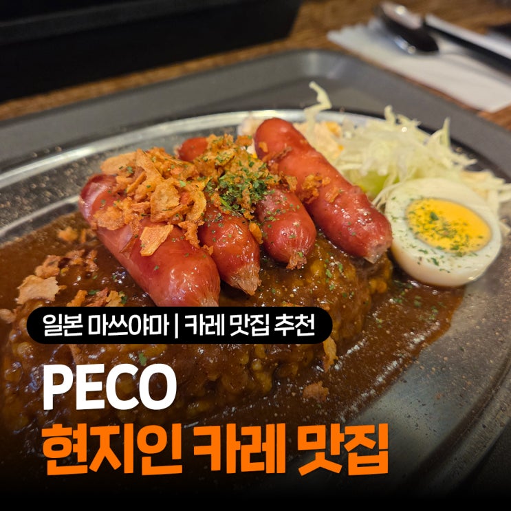  일본 마쓰야마 카레 맛집 추천 현지인 로컬 식당 PECO 내돈내산
