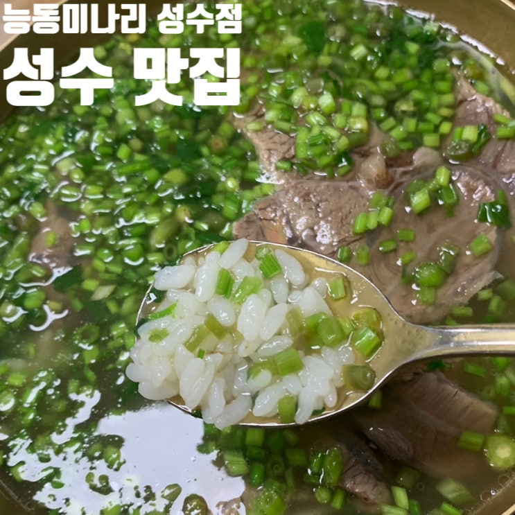 성수 능동미나리 깔끔한 곰탕과 육회비빔밥 내돈내산