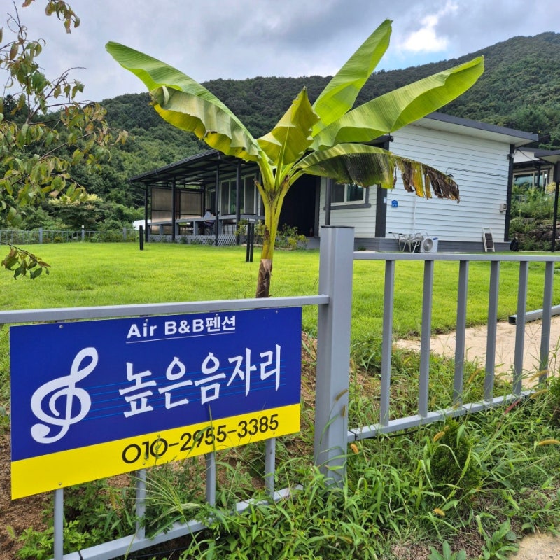 사진 3