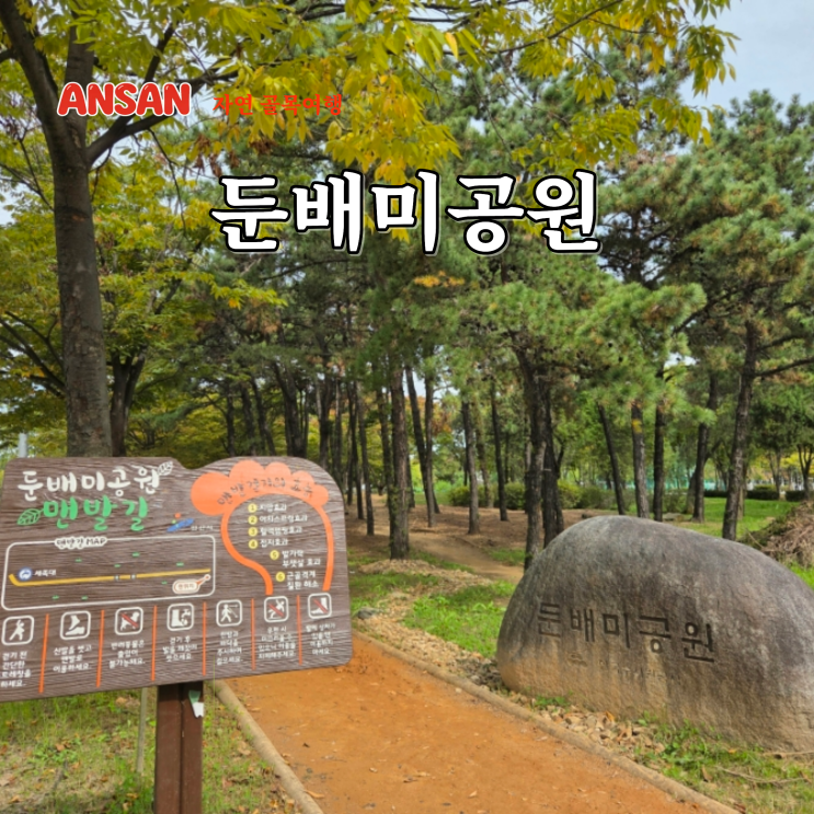  안산 맨발걷기 초지동 황톳길 산책로 둔배미공원