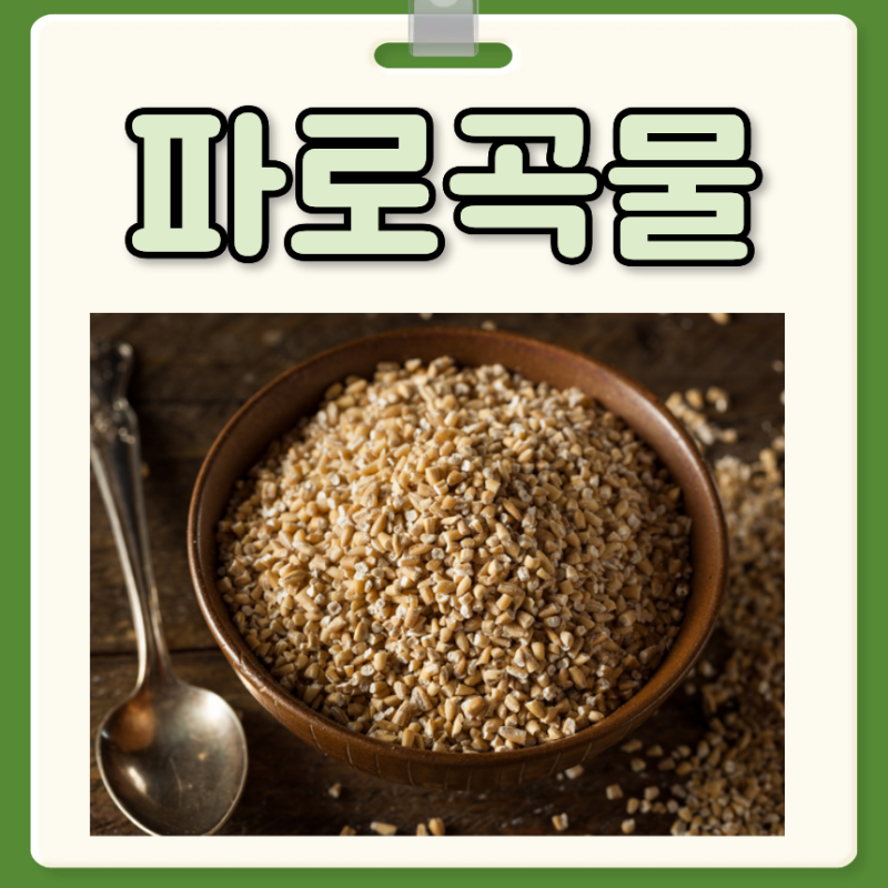 파로곡물 효능 부작용 파로곡물 먹는방법 추천