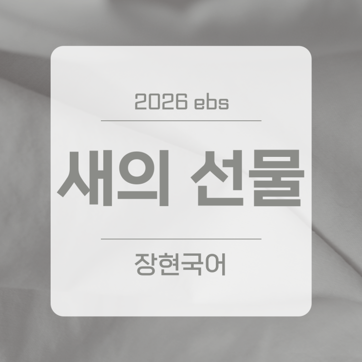  은희경, 새의 선물 해석과 줄거리 ㅣ 2026 수특 196p