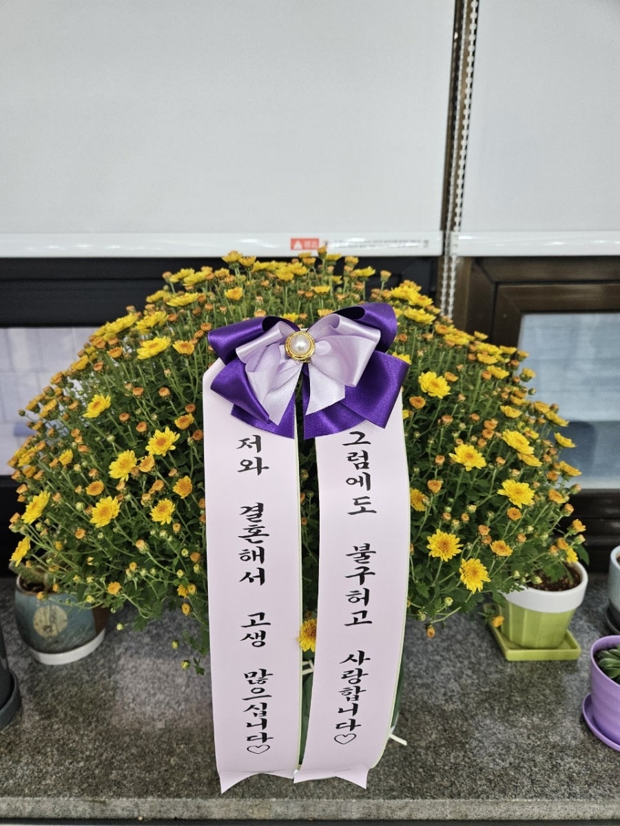 꽃나라 사진 1