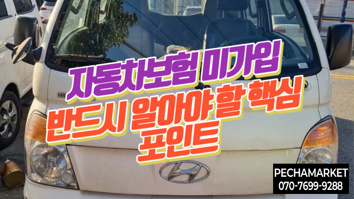  자동차보험 미가입 과태료·형사처벌까지? 반드시 알아야 할 핵심 포인트