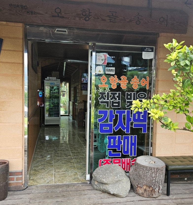 오향골송어 사진 4