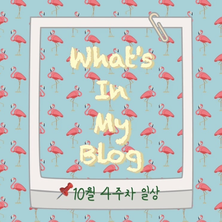  10월 4주 차 일상 정리 왓츠인마이블로그 블챌