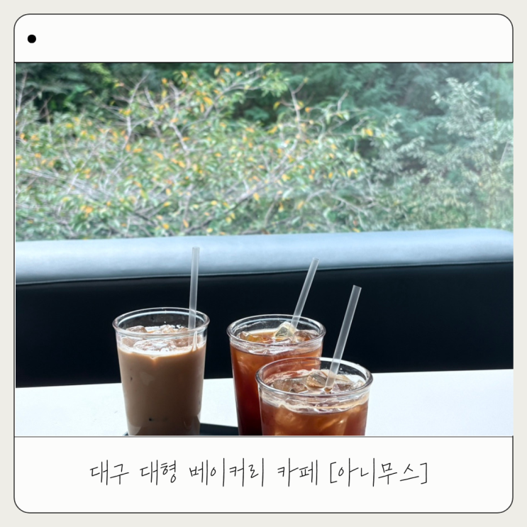  [아니무스] 아기랑 대구 베이커리 대형 카페