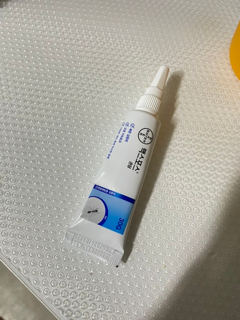 [사진 주의] 개미약 추천, 아파트 개미약 추천 / 맥스포스 퀀텀 개미약 후기