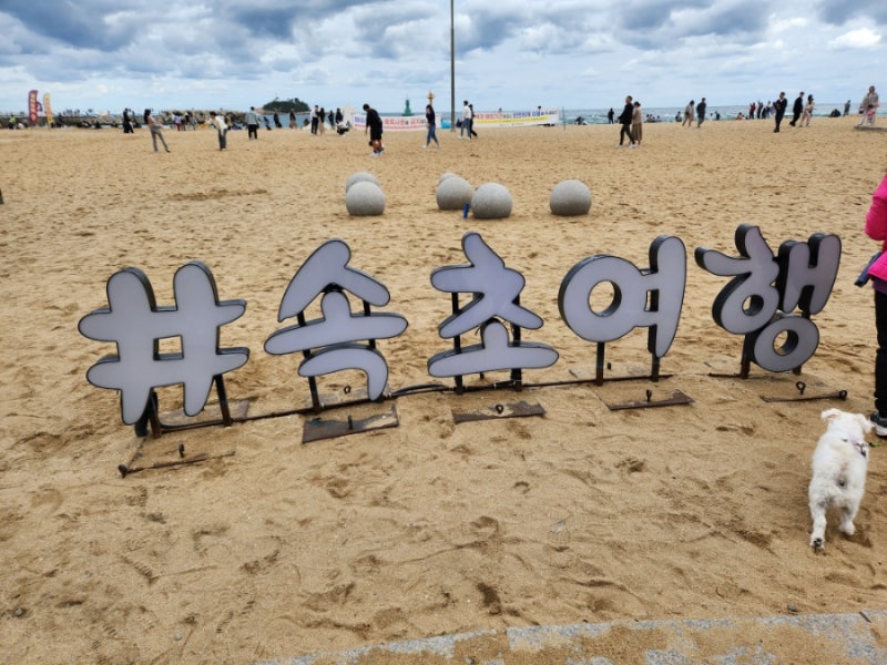 사진 3