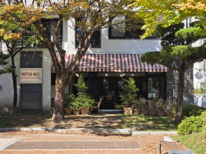 사진 5