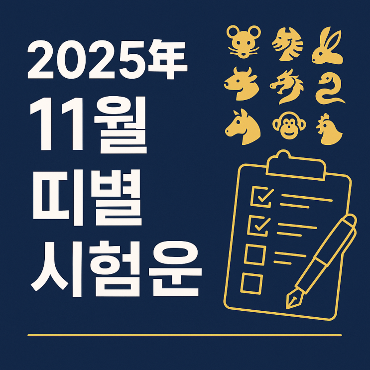  2025년 11월 띠별 시험운