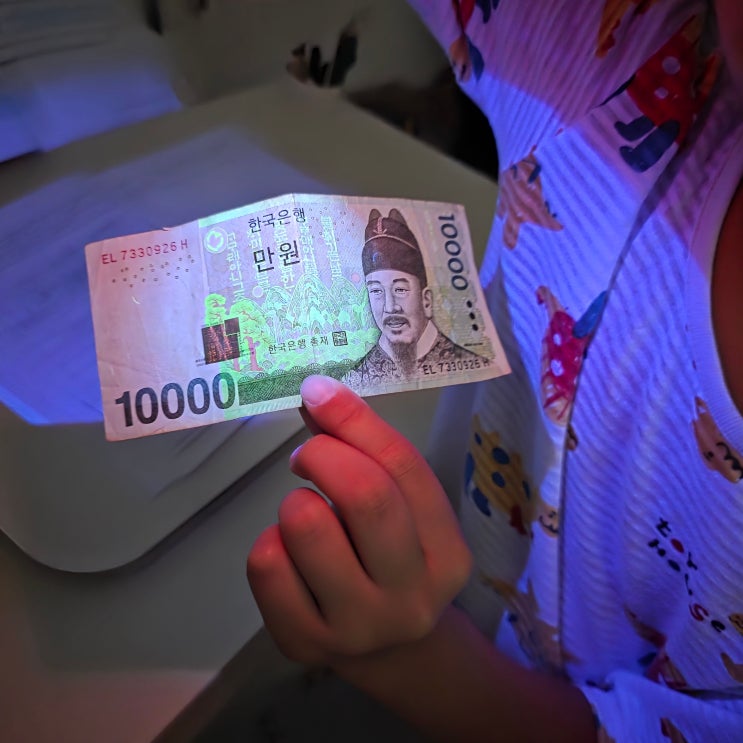 와이즈만 과학학원 : 집에서도 하기좋은 2가지 초등 과학실험 추천