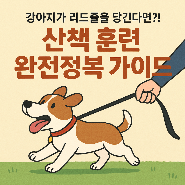  처음부터 완벽하게! 강아지 산책 훈련 단계별 완전 가이드 