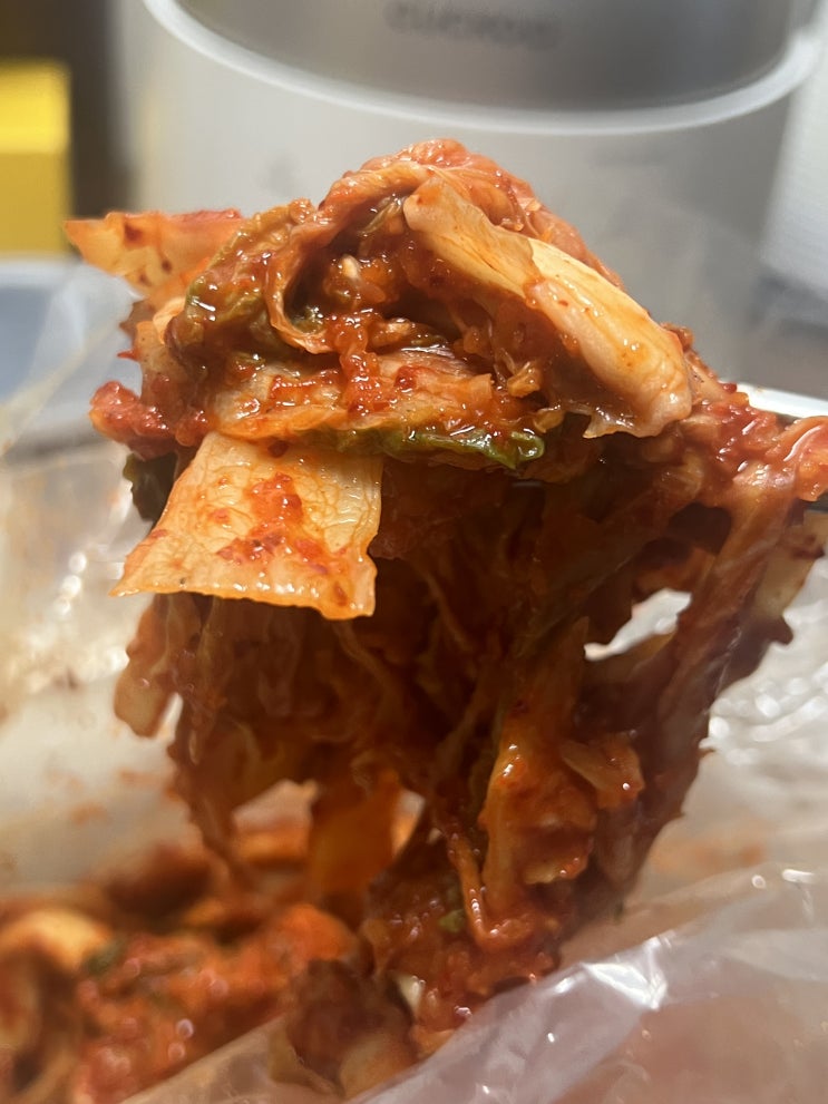 오늘의김치 국내산마늘김치 칼국수집 감성 가득한 알싸한 겉절이김치