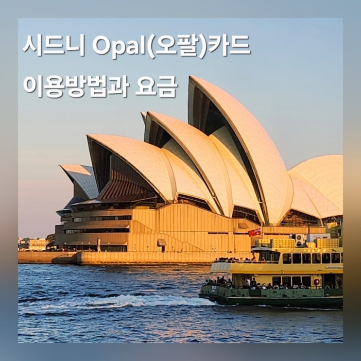  호주 시드니 Opal(오팔 카드) 사용 구매 대중교통 트램, 페리, 기차, 버스 이용 방법 총정리