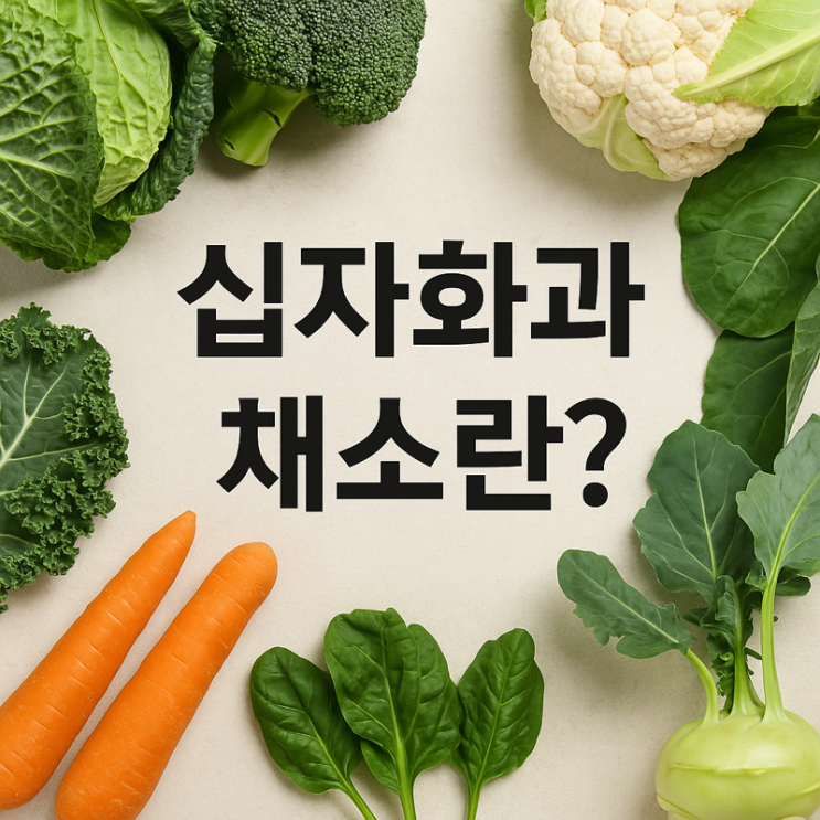   십자화과 채소란 무엇일까? 그리고 종류는?